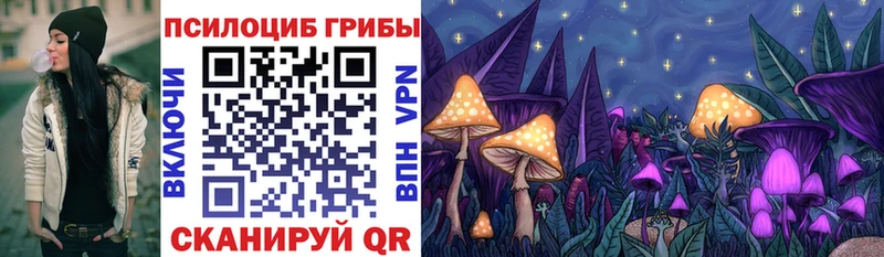 Псилоцибиновые грибы MAGIC MUSHROOMS  площадка клад  Зеленодольск 